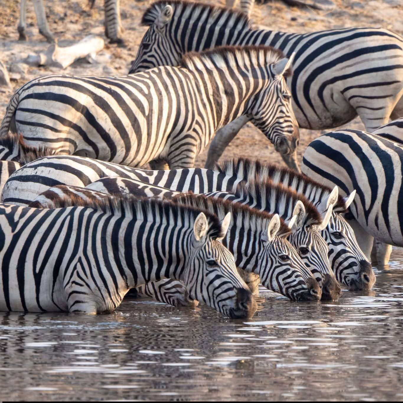 <span style="font-weight: bold;">3 Days Tanzania Unforgettable Safari</span>