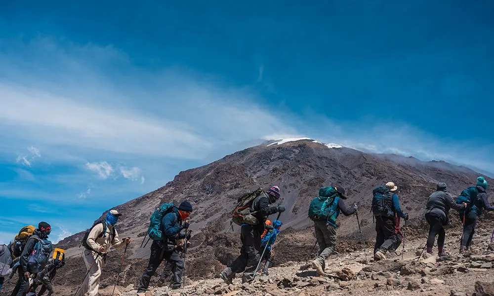 Guided-trekking-group-ascending-Mount-Kilimanjaro-along-alpine-trails-in-Tanzania